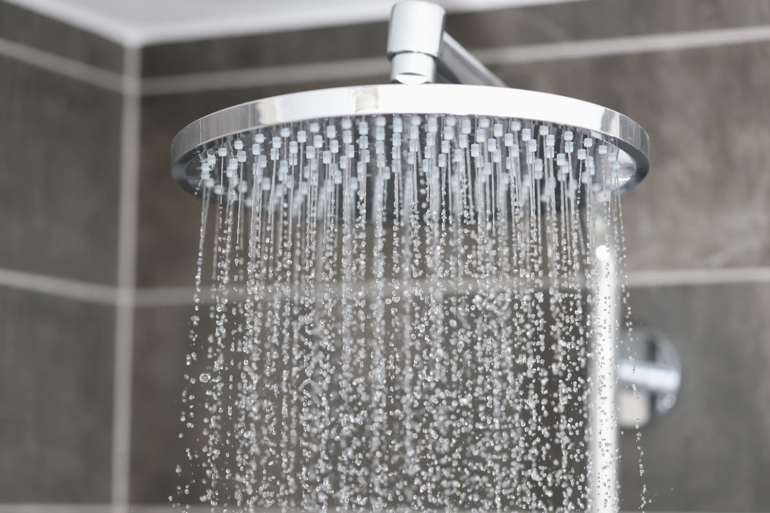 shower head