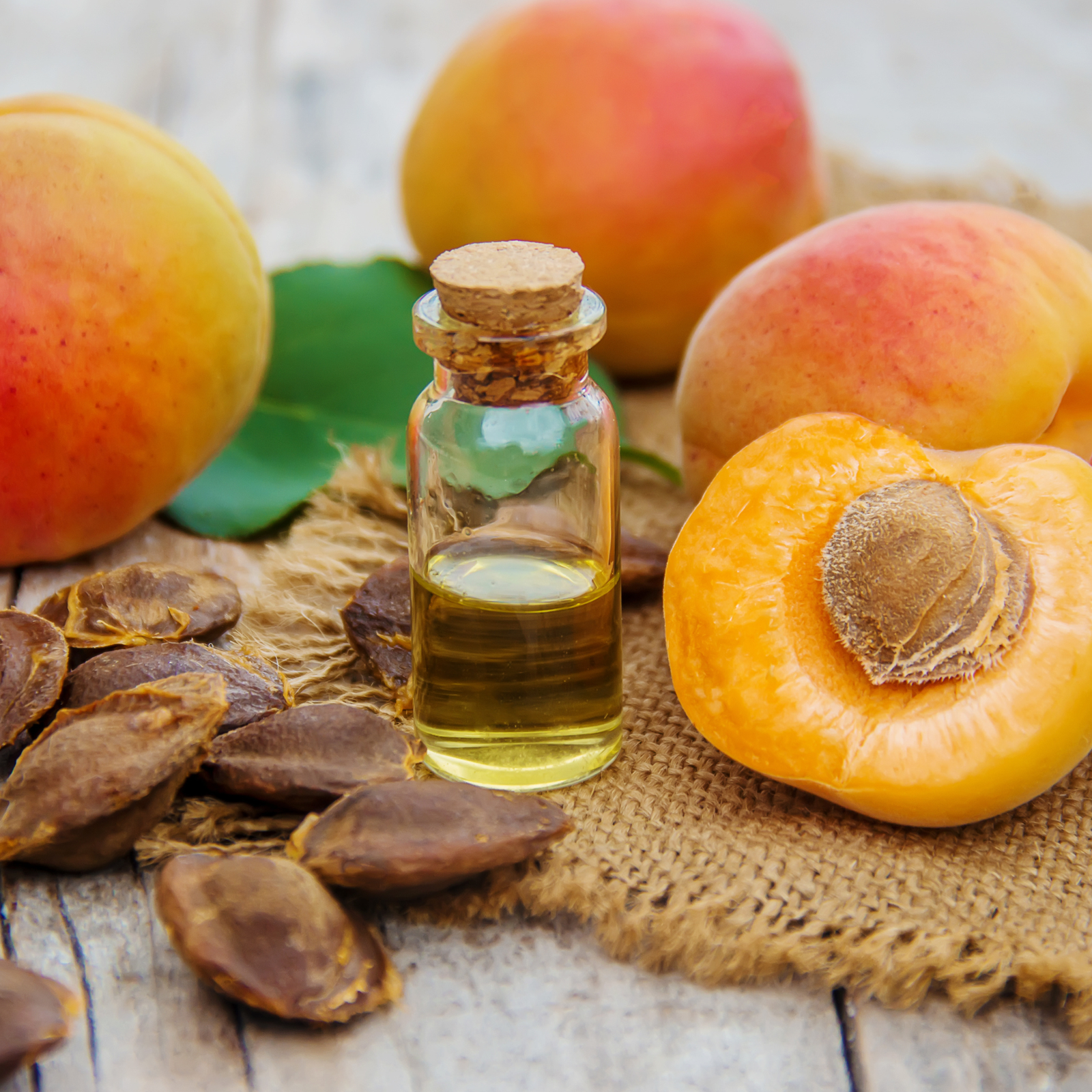Image of Apricot Oil